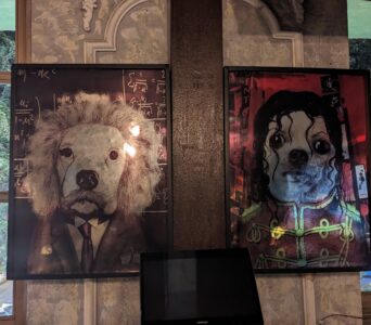 Doggies of The World