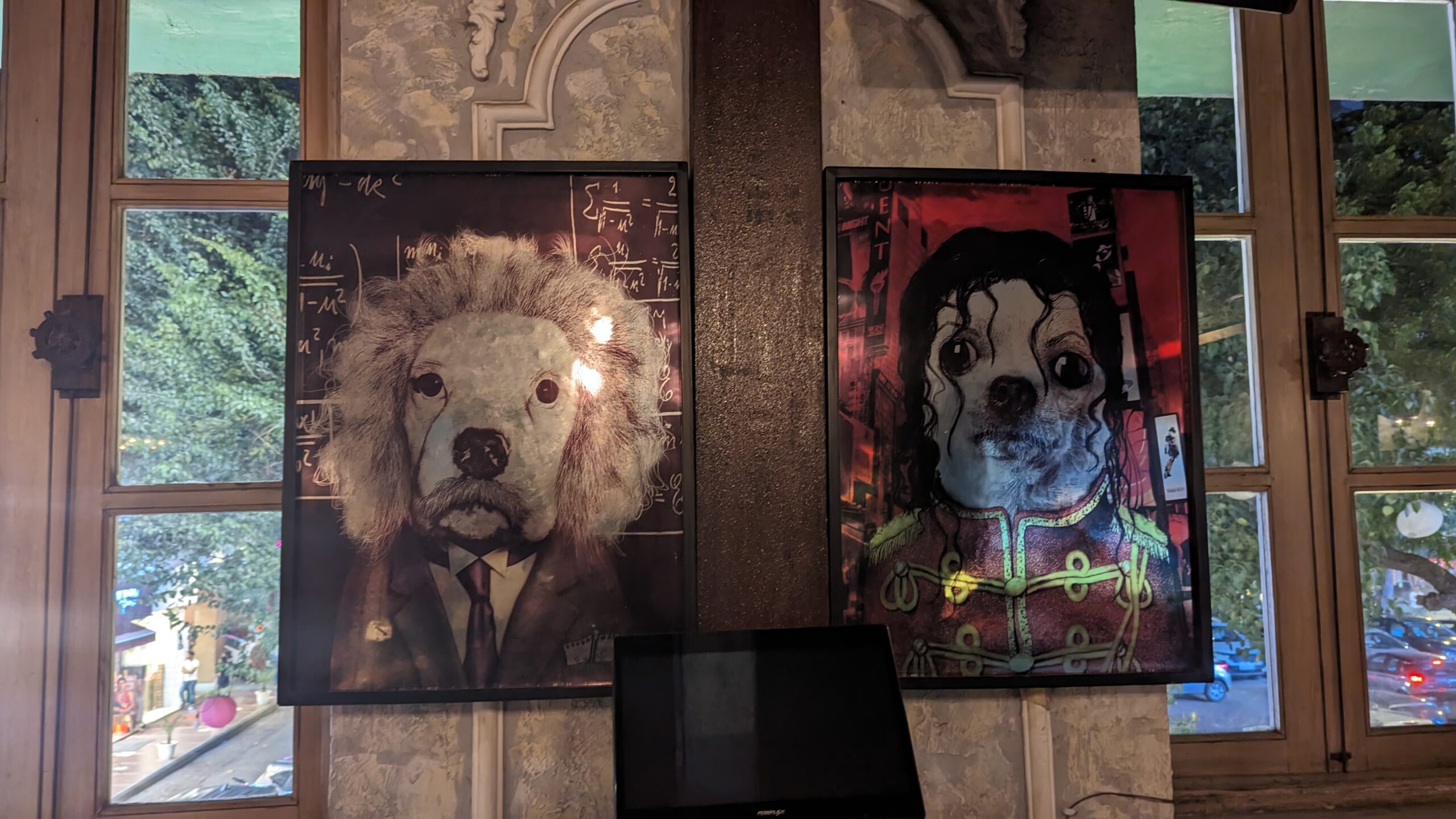 Doggies of The World